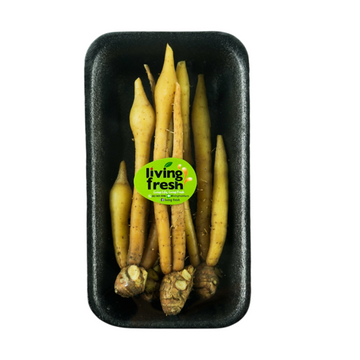 Galangale / keampfer 100g<br/>(กระชาย)